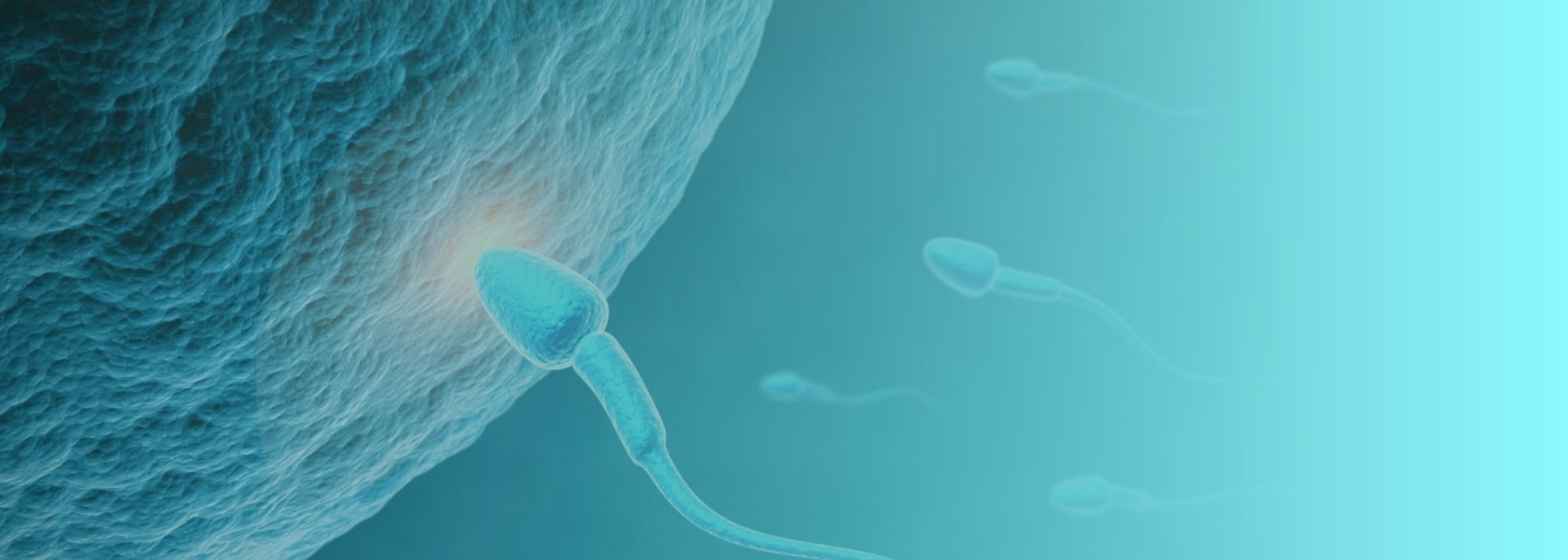ivf centres in guntur, andhra pradesh