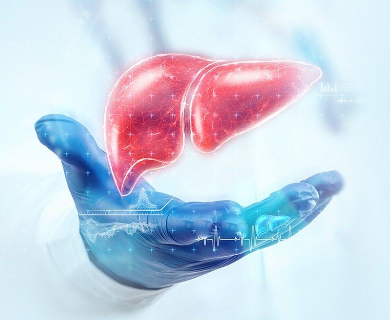 Liver banner