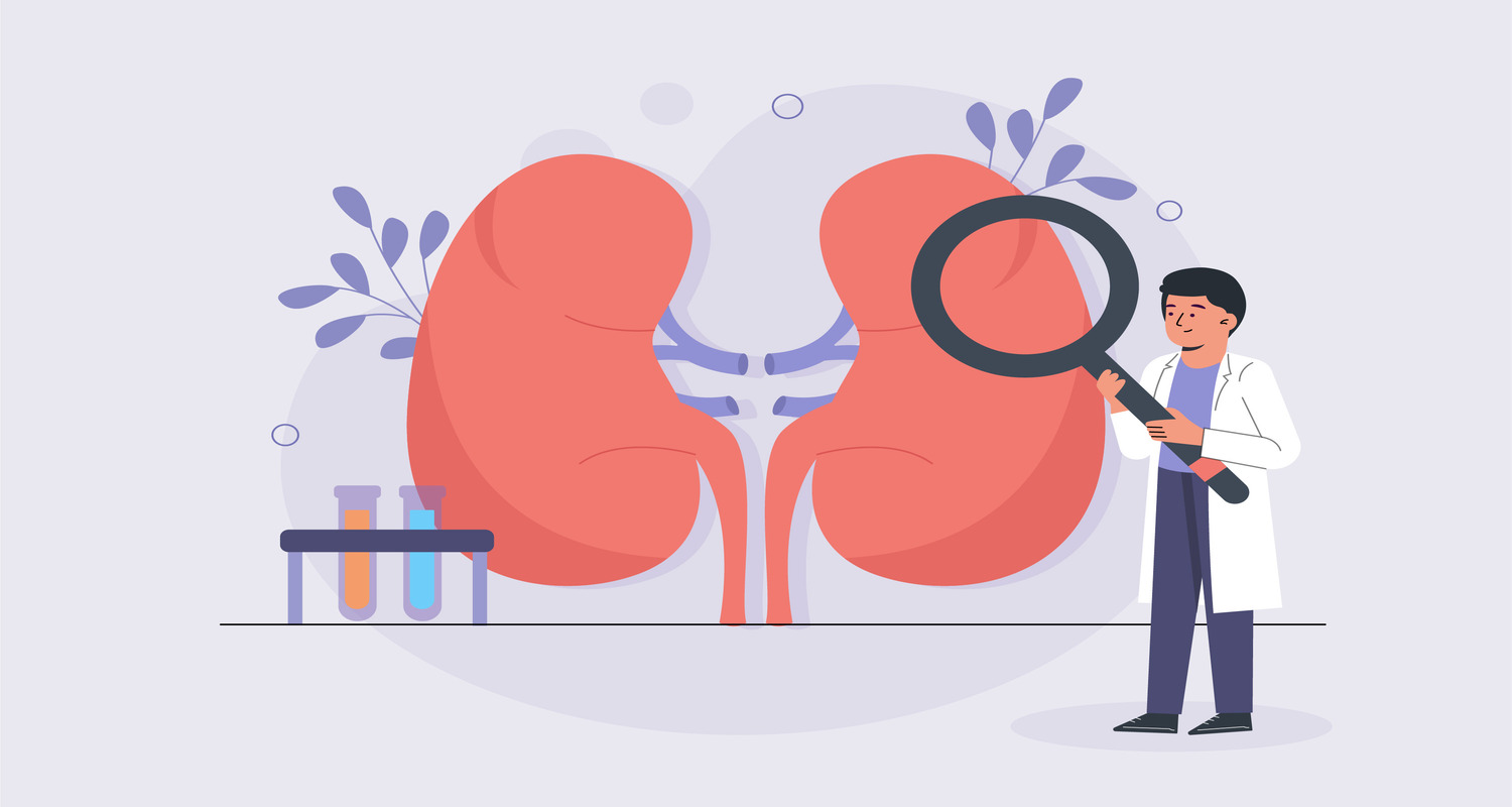 kidney