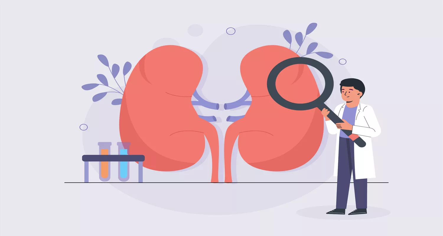 kidney